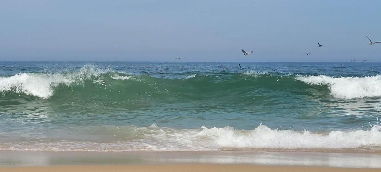 Casa Da Mata Villa Praia de Mira Exteriör bild