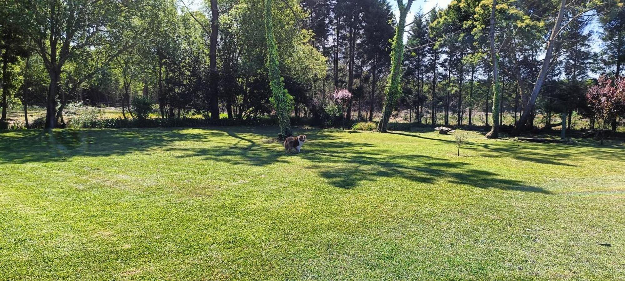 Casa Da Mata Villa Praia de Mira Exteriör bild